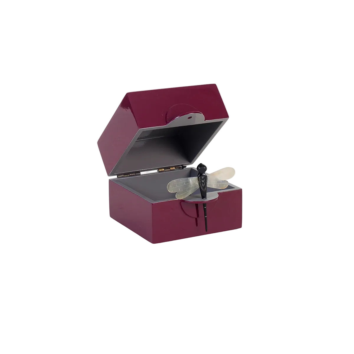 Lackbox Libelle S