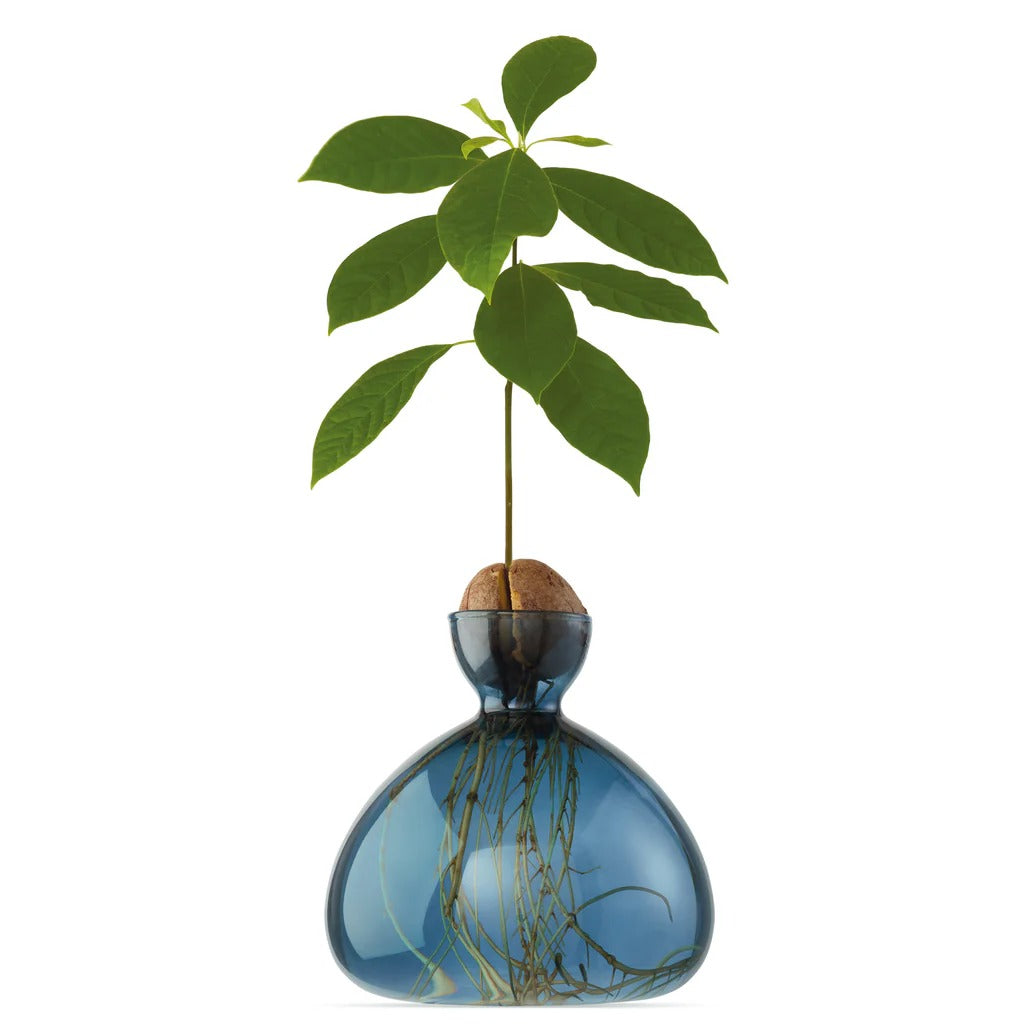 Avocado Vase