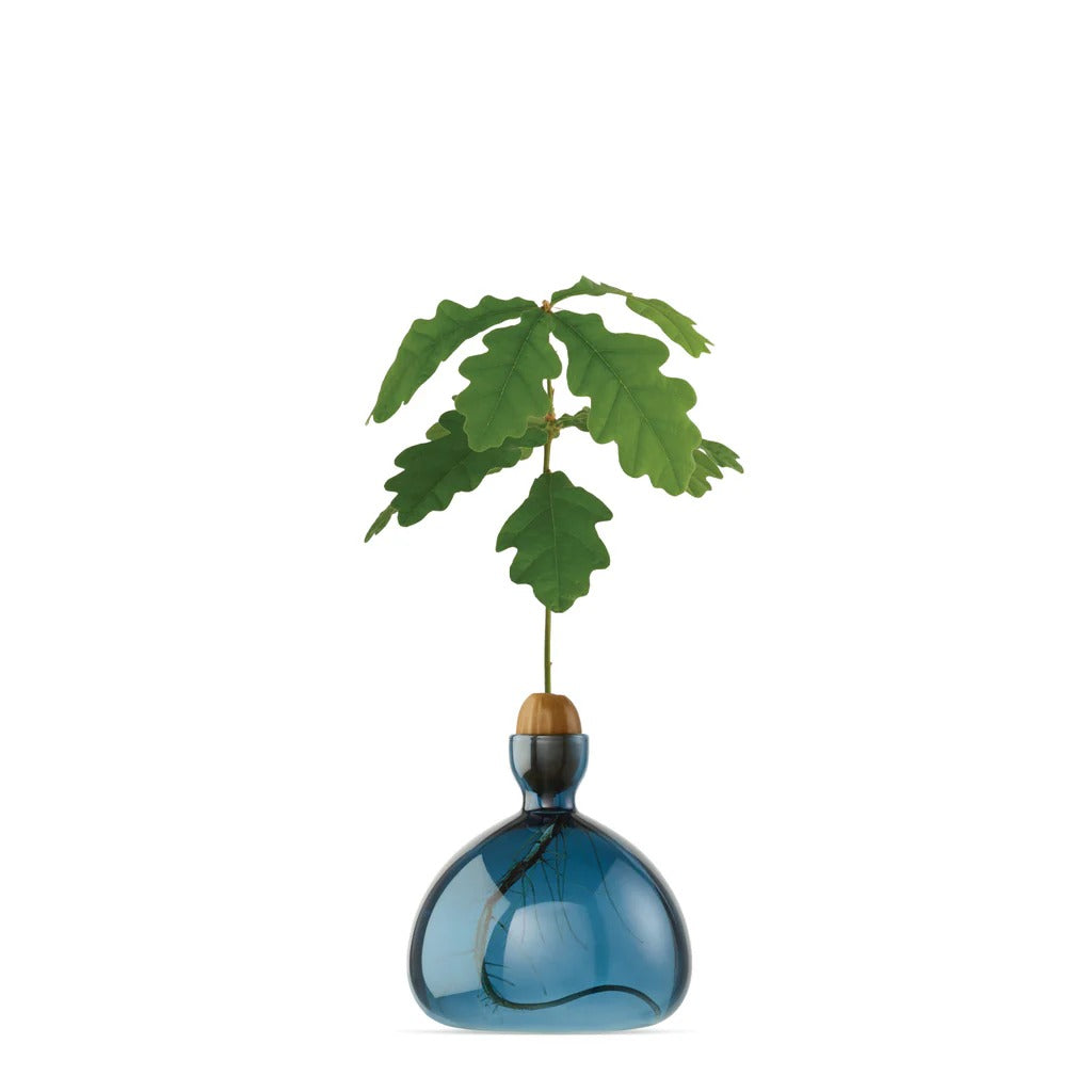 Acorn Vase