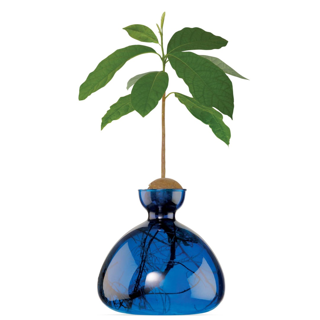 Avocado Vase